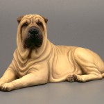 Šarpej (Shar-Pei) 3 Šarpej (Shar-Pei) 3